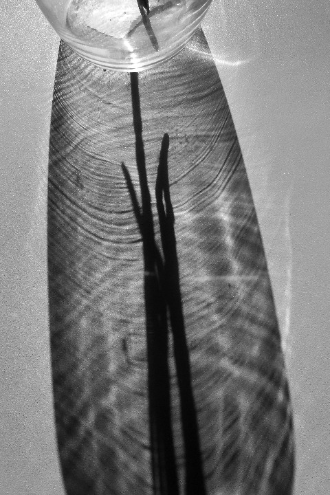 VaseWithShadow_BW_ver-b_20170929