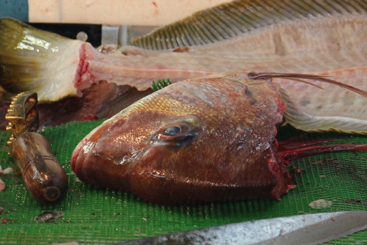 bberkow_SeveredHeadFishMarketTokyo