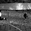 550_Backyard, Upper Nyack1  bw1 April 2003 300dpi_12x16