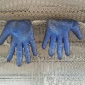 BlueGloves_16x18_IMG_20170616_102844_703