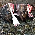 TwoFishHeadsTokyo_18x24_corr-b_IMG_20180205_103032128