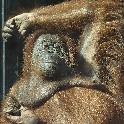 Theodora_Paris-2013_20130719_O7193121
