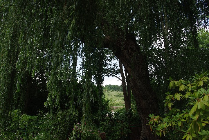 Giverny_corr-a 500_IMGP0258
