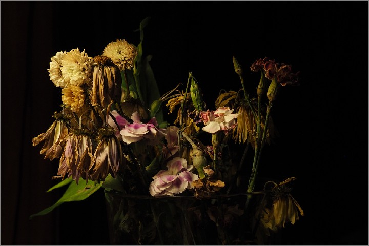 StillLifeWithFlowers_20180507_P5074400