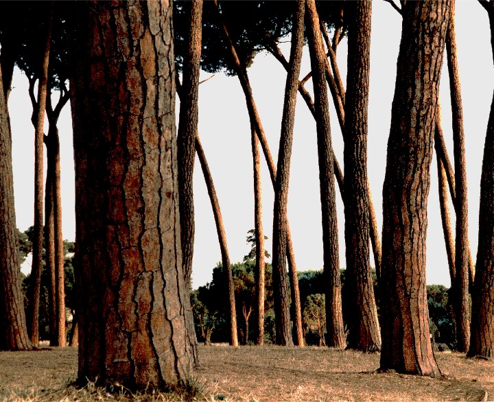 VDoriaPamphili-All-corr-d