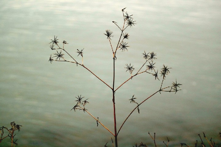_20171203_001303_IMG_5590_0074_16x24