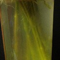 IMGP5779_corr