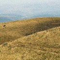 Monte Subasio_MSubasio_3 300dpi 12x16_corr_2007_Summer _IMG_0223