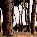 VDoriaPamphili-All-corr-d