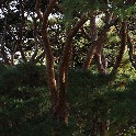 _20171104_120759_PB044734_4715_ver-b