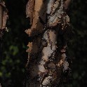 _20171104_123815_PB044776_4757