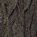 _20171104_141111_PB044884_4865