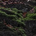_20171104_141354_PB044886_4867