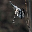 _20171104_141727_PB044898_4879