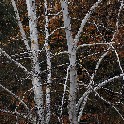 _20171104_151445_PB044973_4954