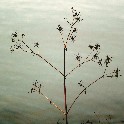 _20171203_001303_IMG_5590_0074_16x24