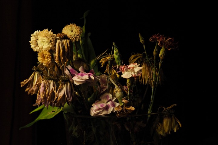 046_Still Life WIth Flowers -- 59 -- _6p75 x 4p5_ 20180507_112350_P5074399_0059