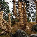 051_WrappedPalmTrees_Katsura_Japan_Oly_20180215_P2151310