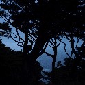 053_SF Landscape 7p5x4p2 20170906_205251_P9062977_2973
