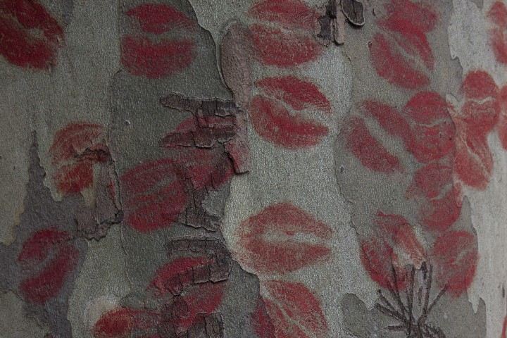 Tree-with-Kisses_NYC_2011-12-30_0820
