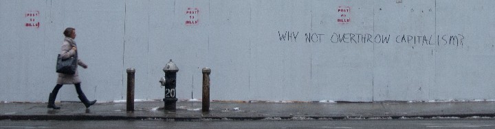 Why Not Overthrow Capitalism NYC 2012_NYC_20120123_O1231474