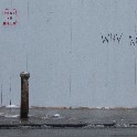 Why Not Overthrow Capitalism NYC 2012_NYC_20120123_O1231474