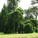 435_IMG_0082