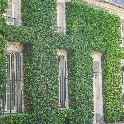 440_IMG_0095
