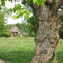 445_IMG_0509