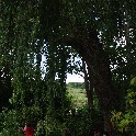 500_IMGP0258