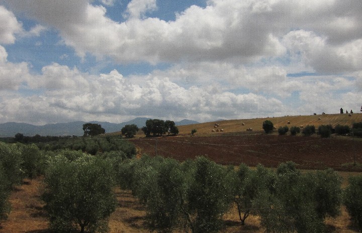 002e_Landscape5_300ppi_12x18_IMG_6046
