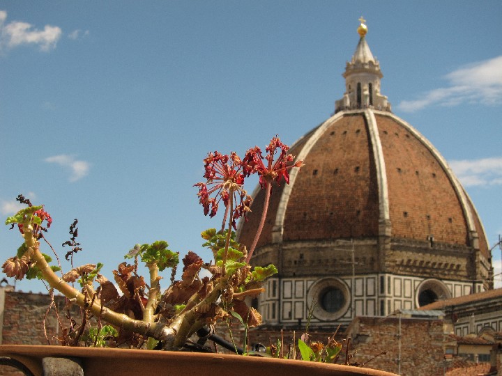 FLorence_from_apt_IMG_2233_20100806
