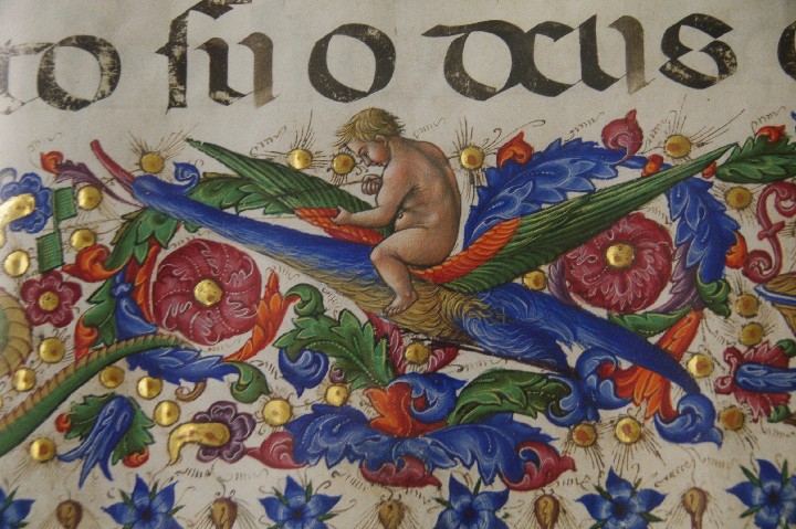 _Siena_Duomo_Piccolomini_Library_IMGP3192_20100804