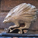 018i_Istrice_Siena_2010-07-xx_IMG_7318