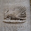 018m_IMG_1559