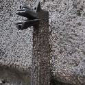 019a_IMG_3559
