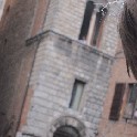 045g_Wilson_Siena_IMG_2461