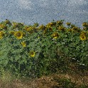 049_IMG_2932