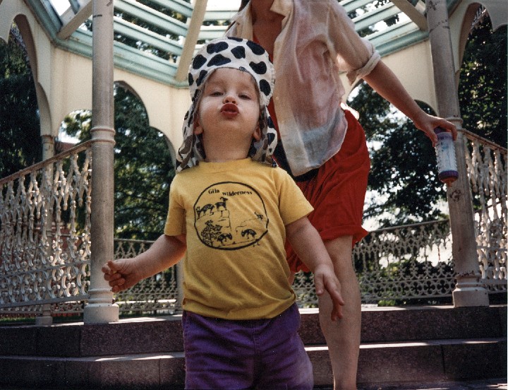 NYC_Gazebo-cropped-b_9 x 12_2014-9-9-19-28-26-01