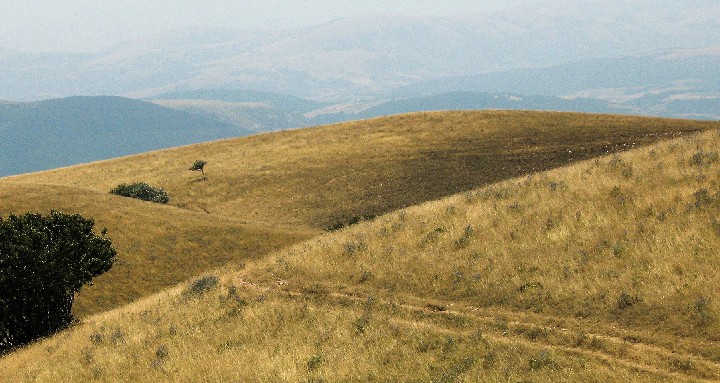 Monte Subasio_MSubasio_3 300dpi 12x16_corr_2007_Summer _IMG_0223
