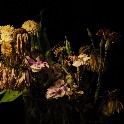 046_Still Life WIth Flowers -- 59 -- _6p75 x 4p5_ 20180507_112350_P5074399_0059